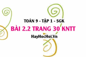 Bài 2.2 trang 30 Toán 9 tập 1 Kết nối tri thức